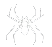 Image vectorielle blanche d'une araignée